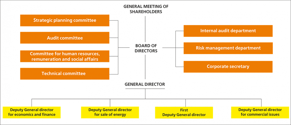 Operational structure | CAEPCO, JSC